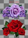 玫瑰花