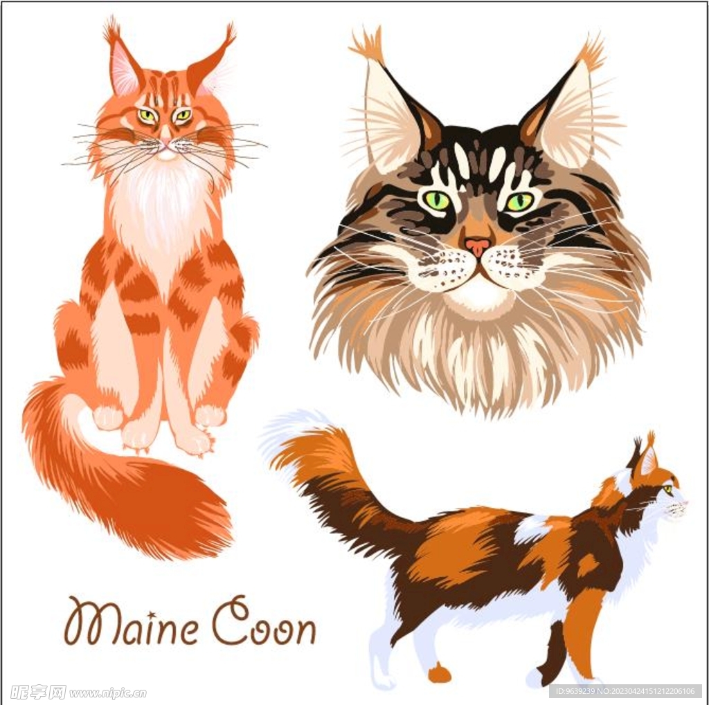 猫