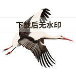手绘仙鹤油画插画png素材