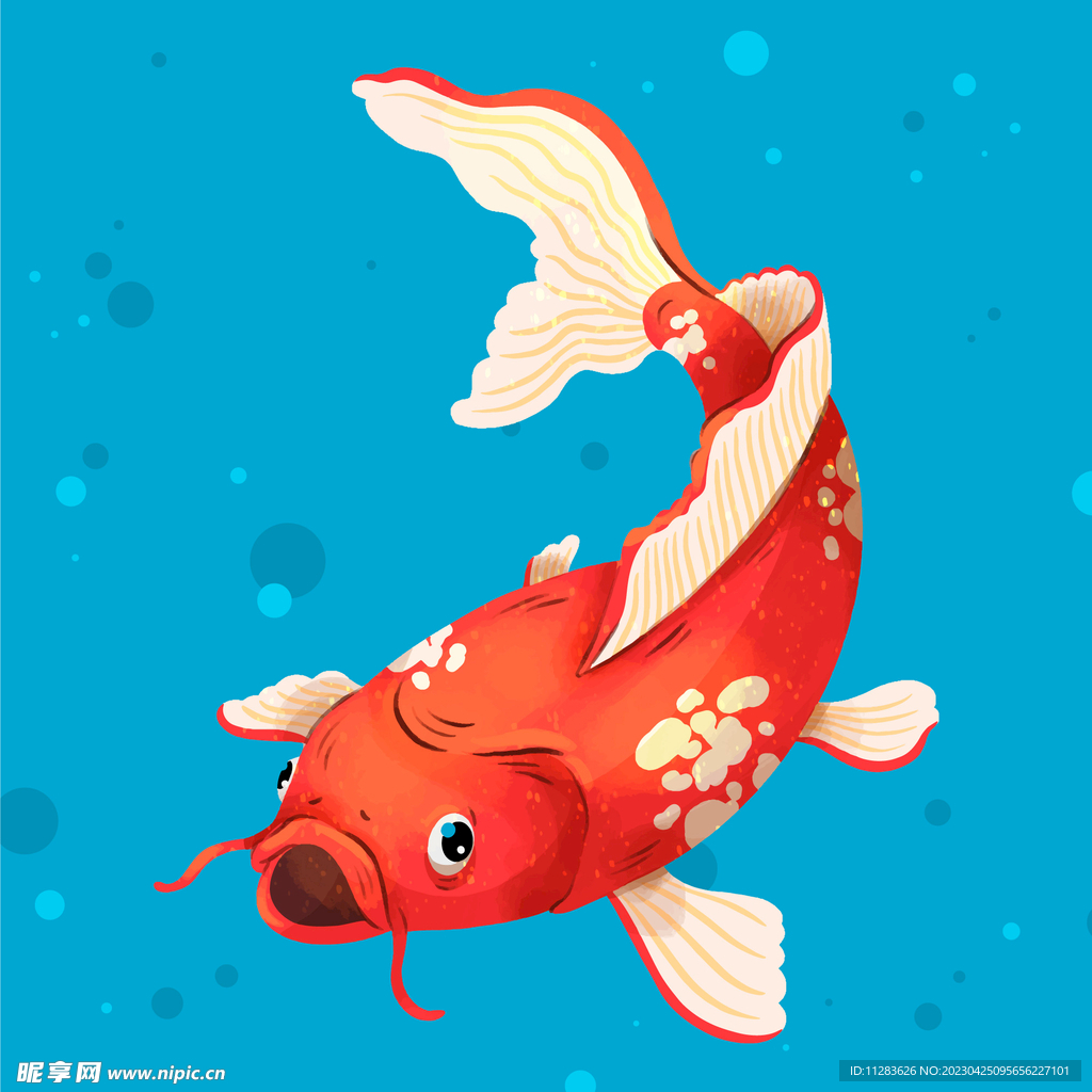 锦鲤插画