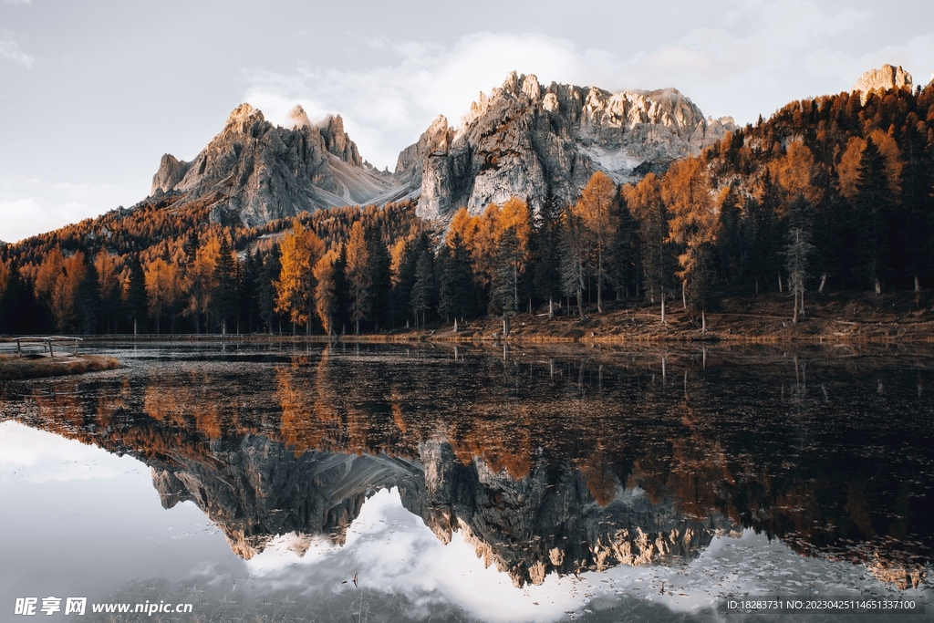 森林湖泊风景