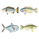 手绘海洋生物鱼