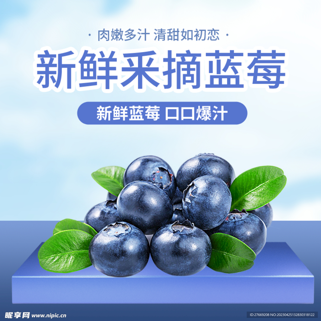 蓝莓主图