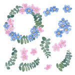 水彩花卉
