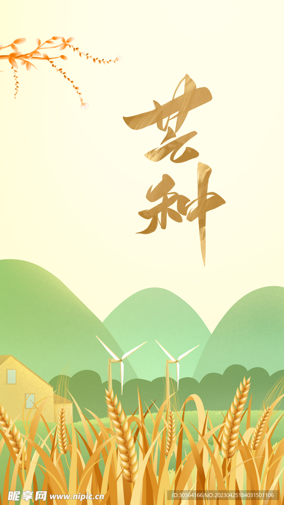 芒种