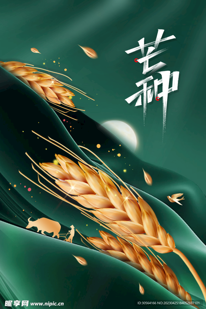 芒种