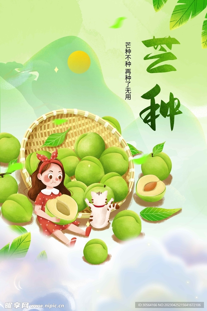 芒种