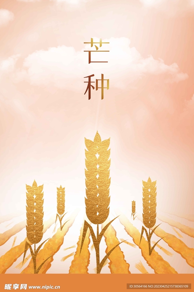 芒种