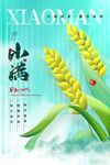 小满