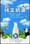 牛奶海报