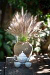 狼尾草与茶具