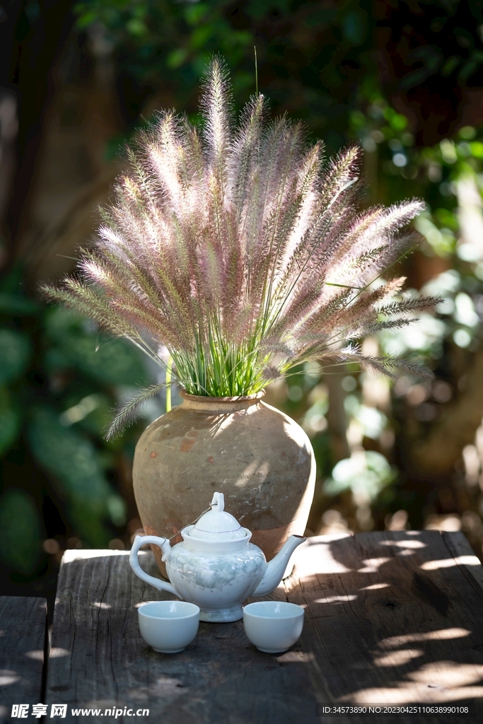 狼尾草与茶具