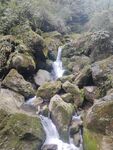 青城后山的水