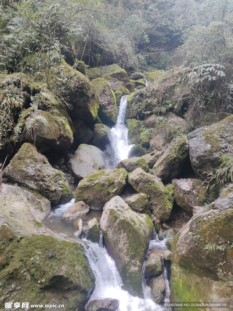 青城后山的水