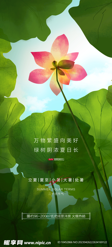 夏至