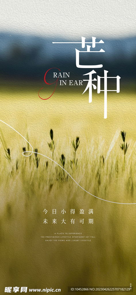 芒种