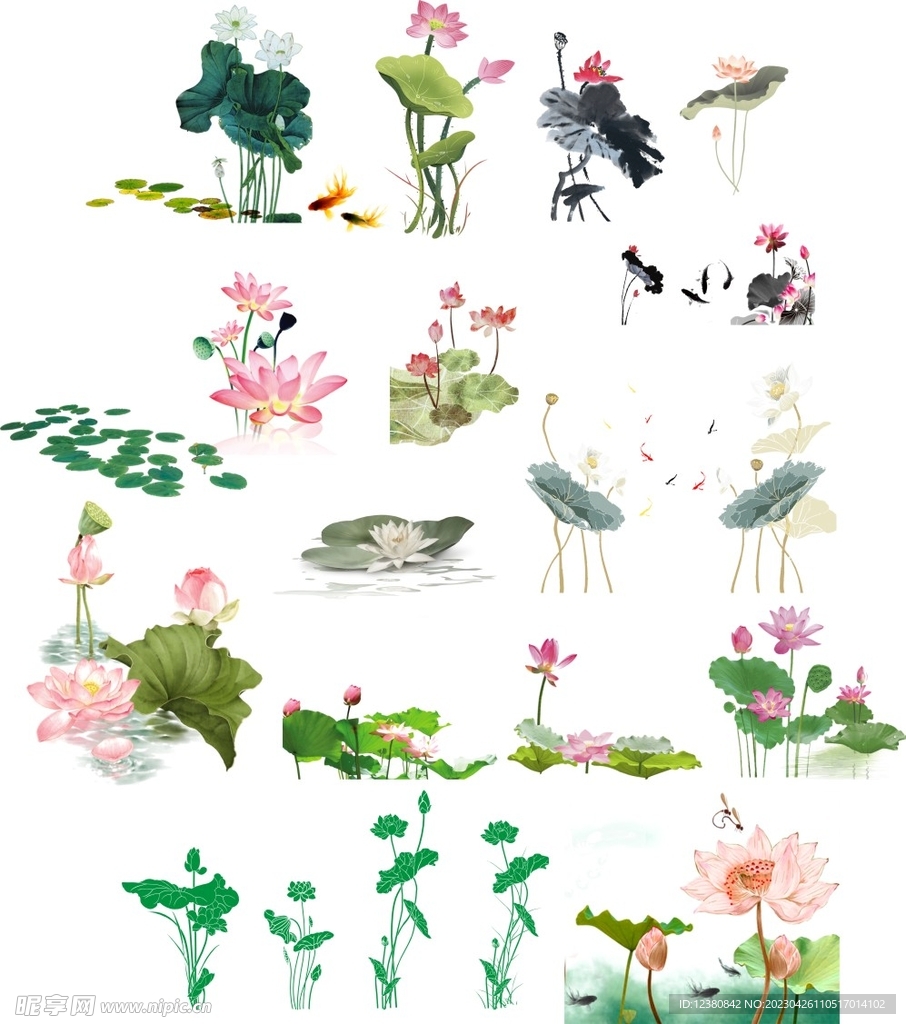 莲花