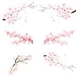 梅花