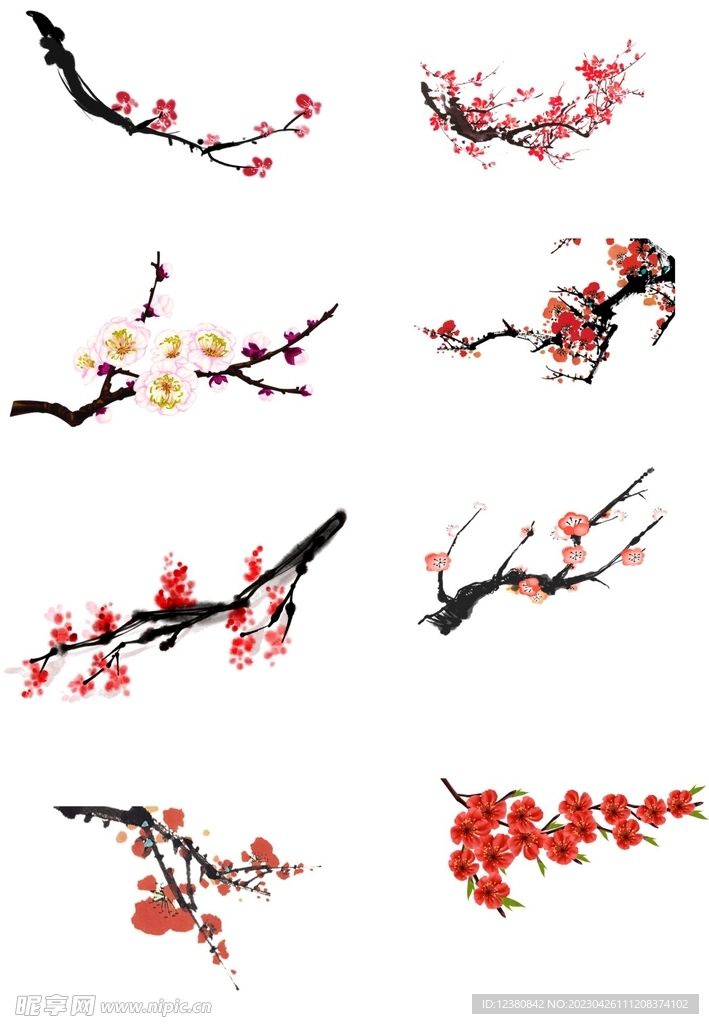 腊梅