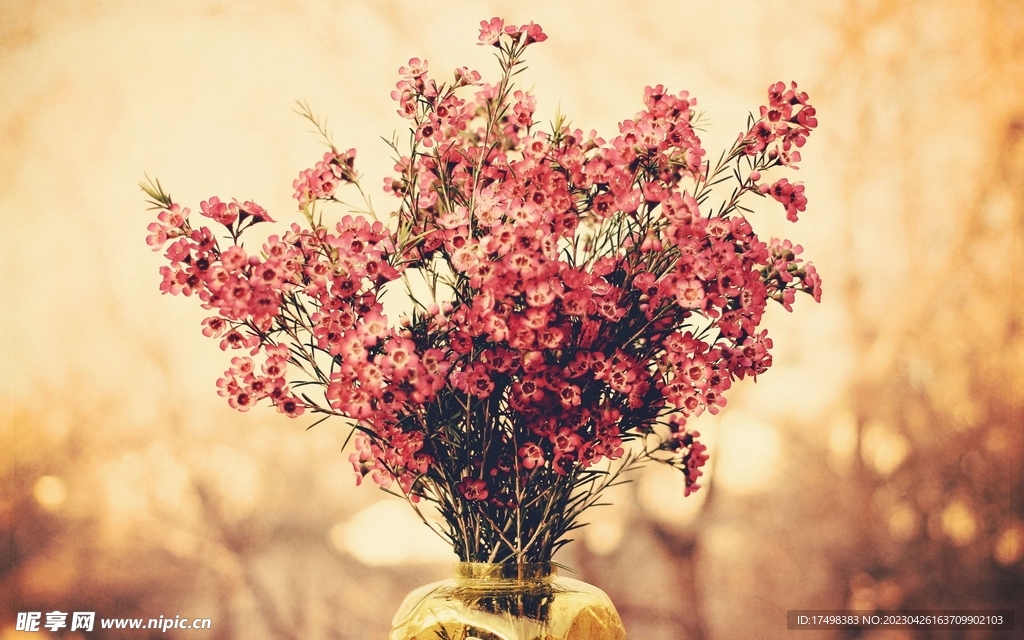 一束鲜花