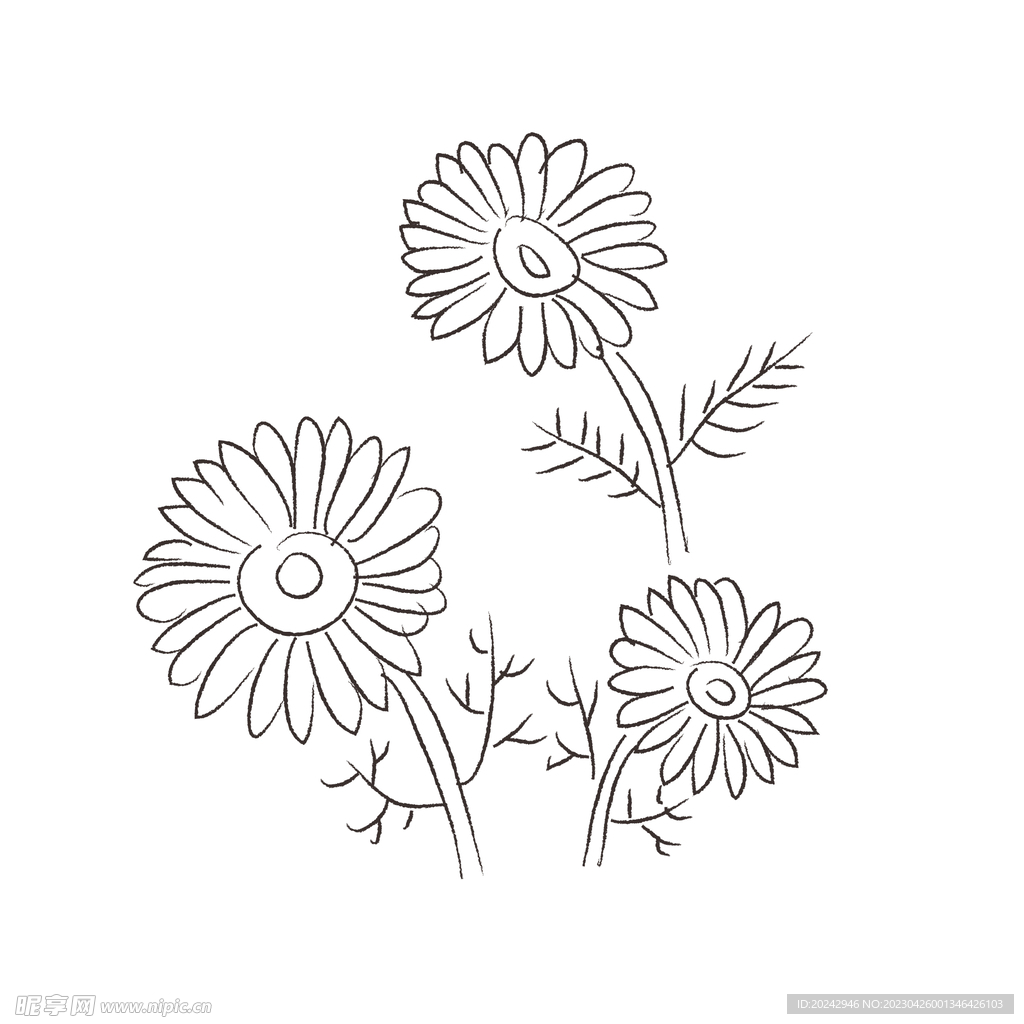 花卉黑白线稿 