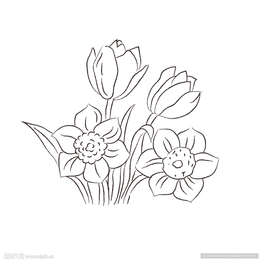 花卉黑白线稿   