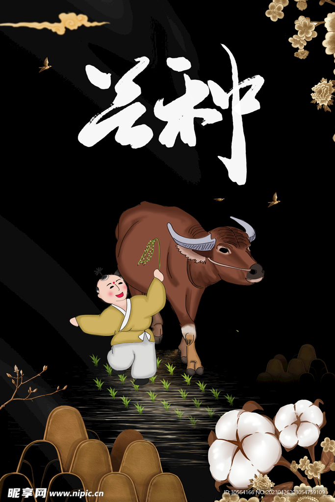 芒种
