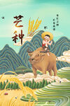 芒种