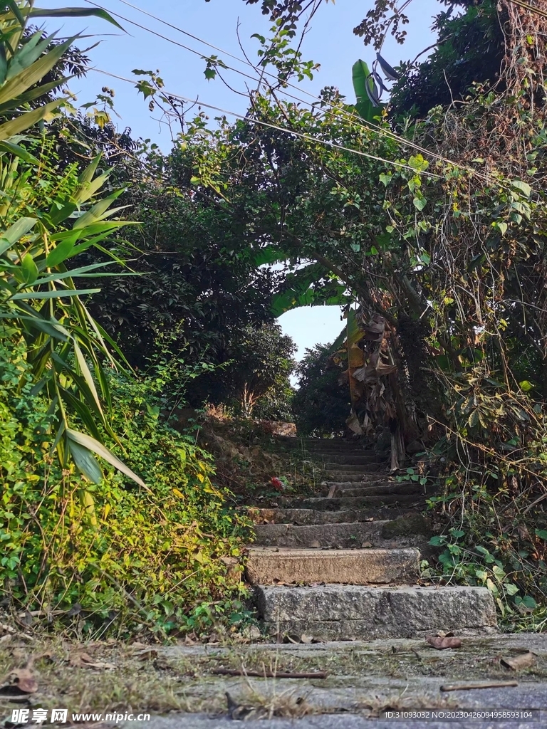 乡间小路