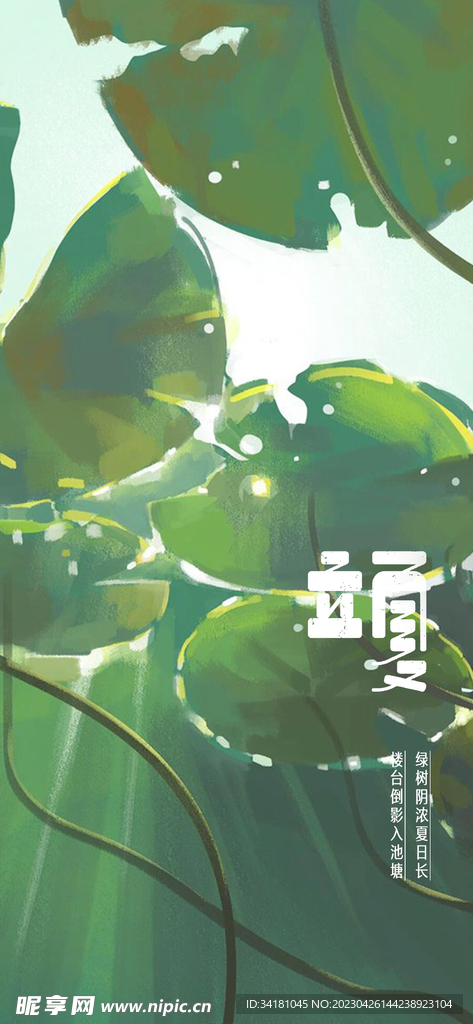 立夏 24节气