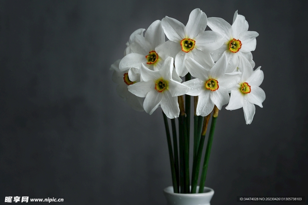 水仙花