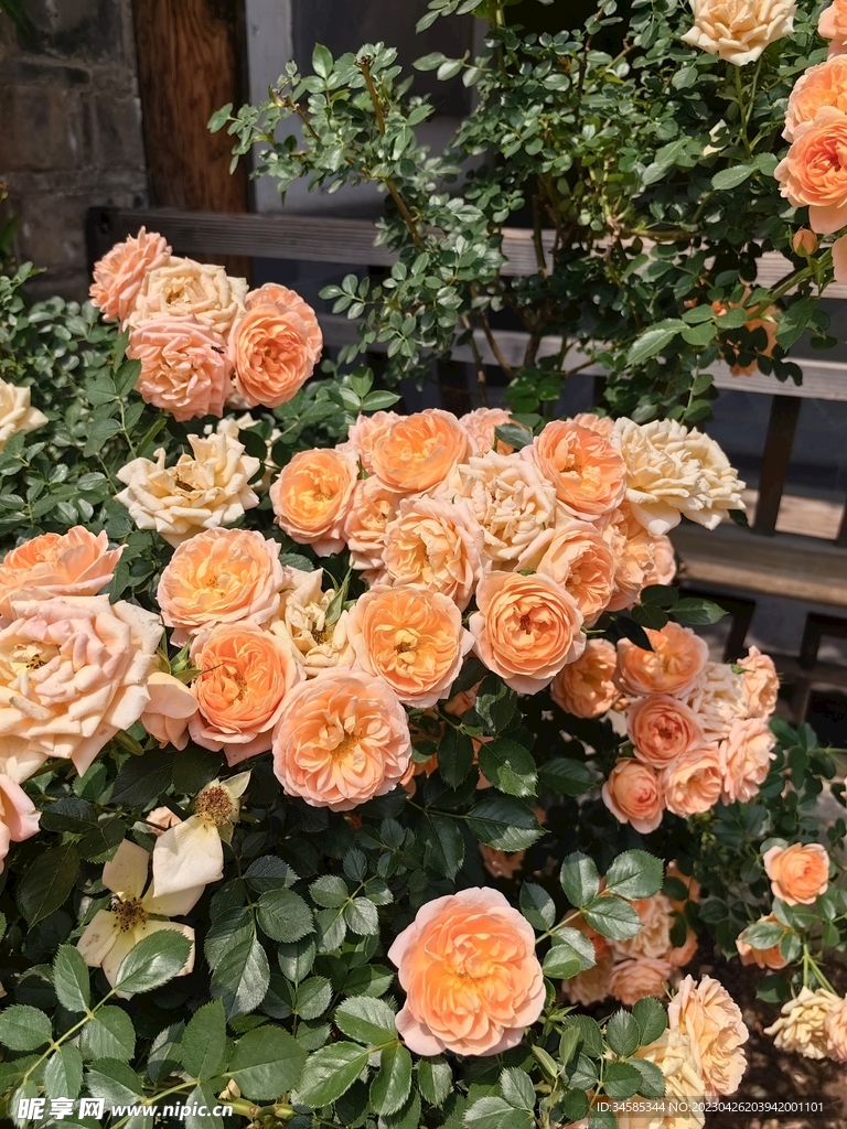 繁花