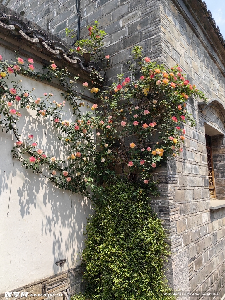 花墙 