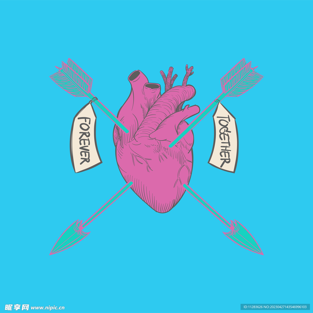 心脏插画