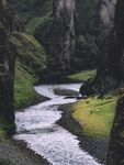 树林风景 
