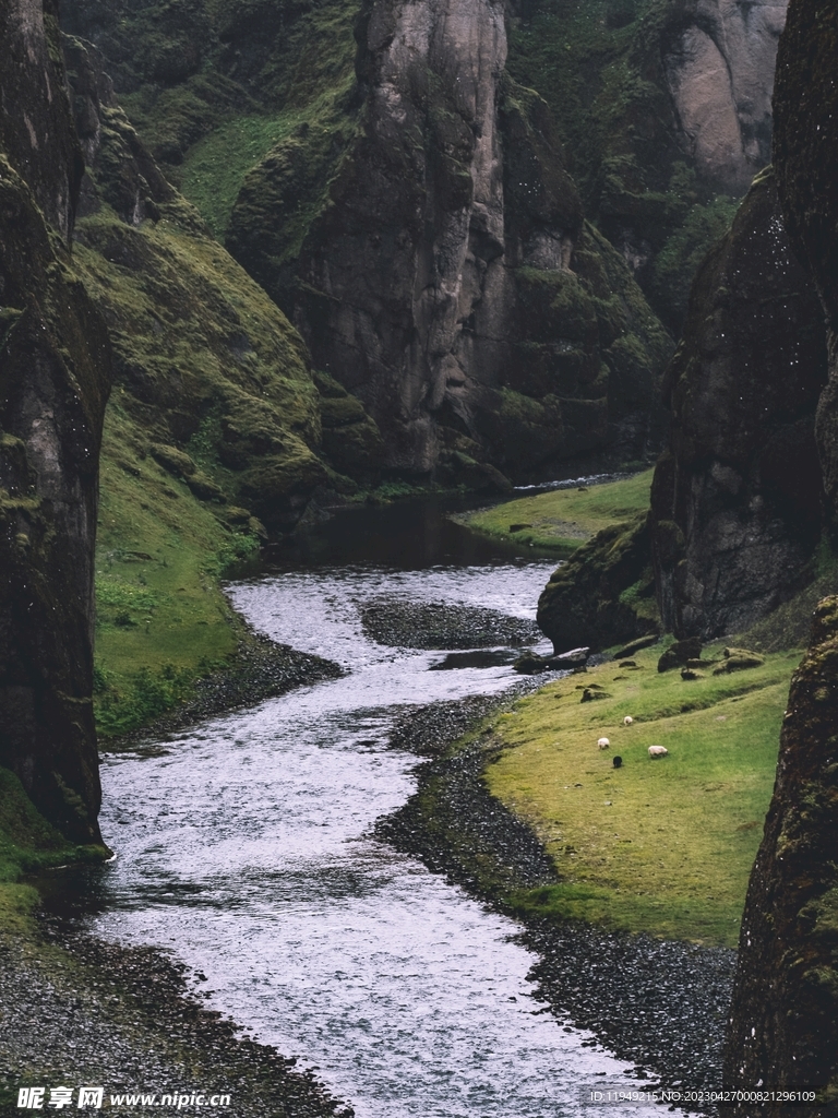 树林风景 