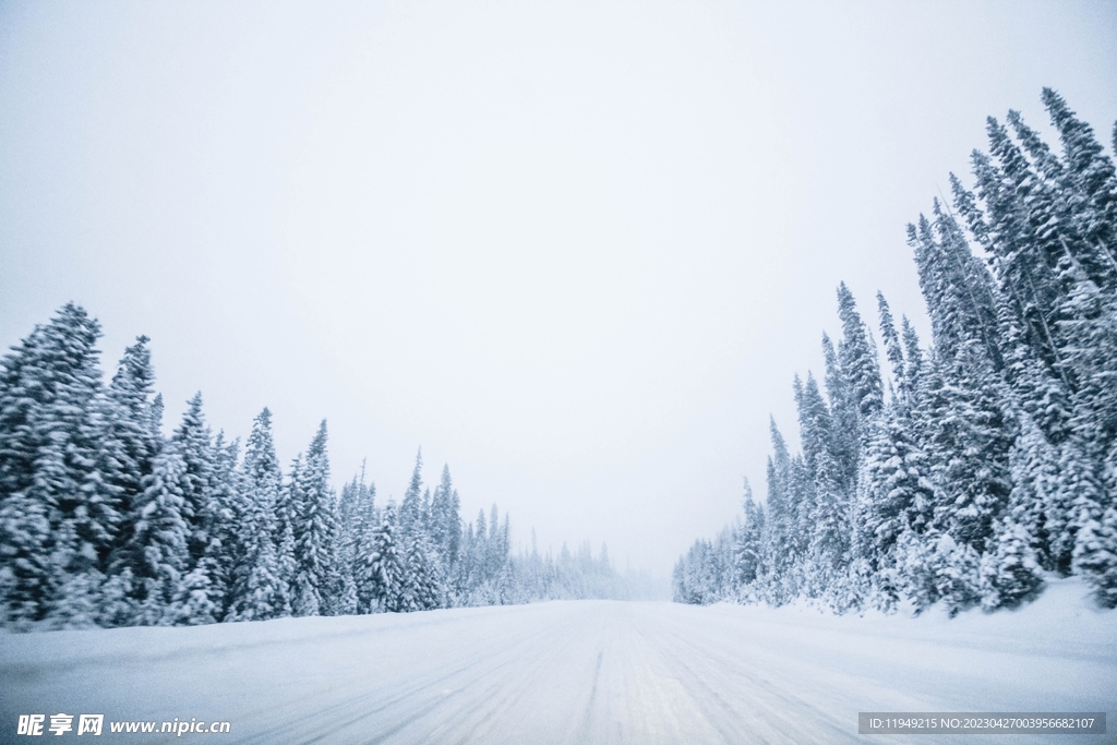 冬季公路雪景 