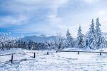 雪山丽景 