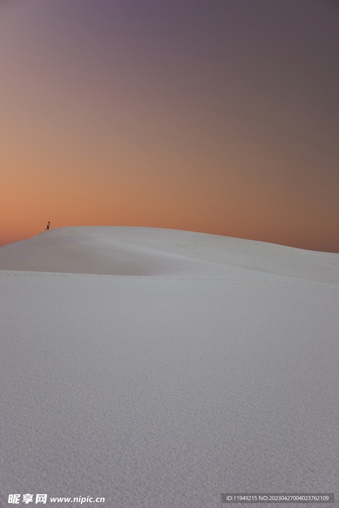 冬季雪景