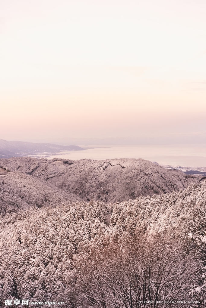 冬季树林风景