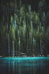 湖边树林美景