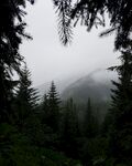 树林风景 