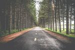   路上风景 