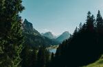 树林风景