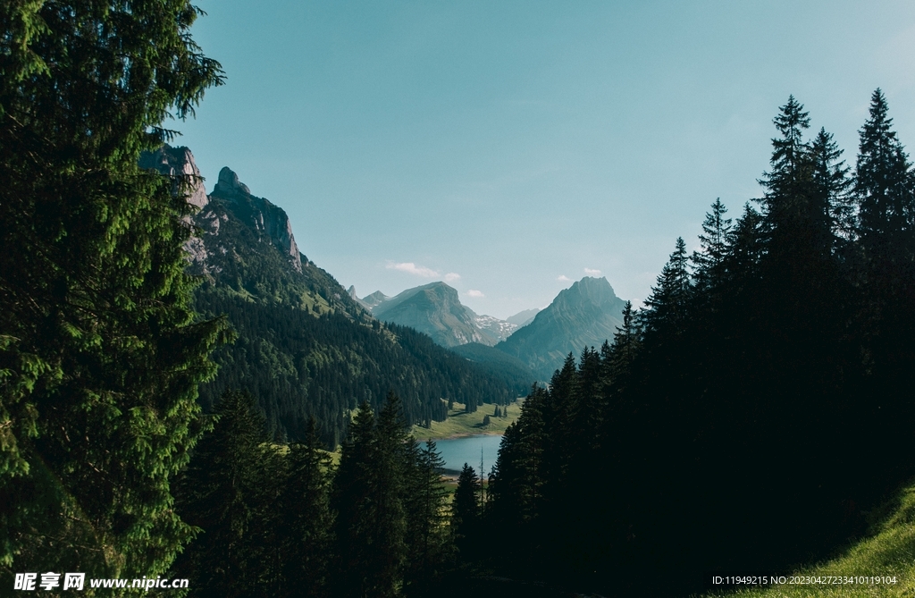 树林风景