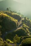 路上风景 