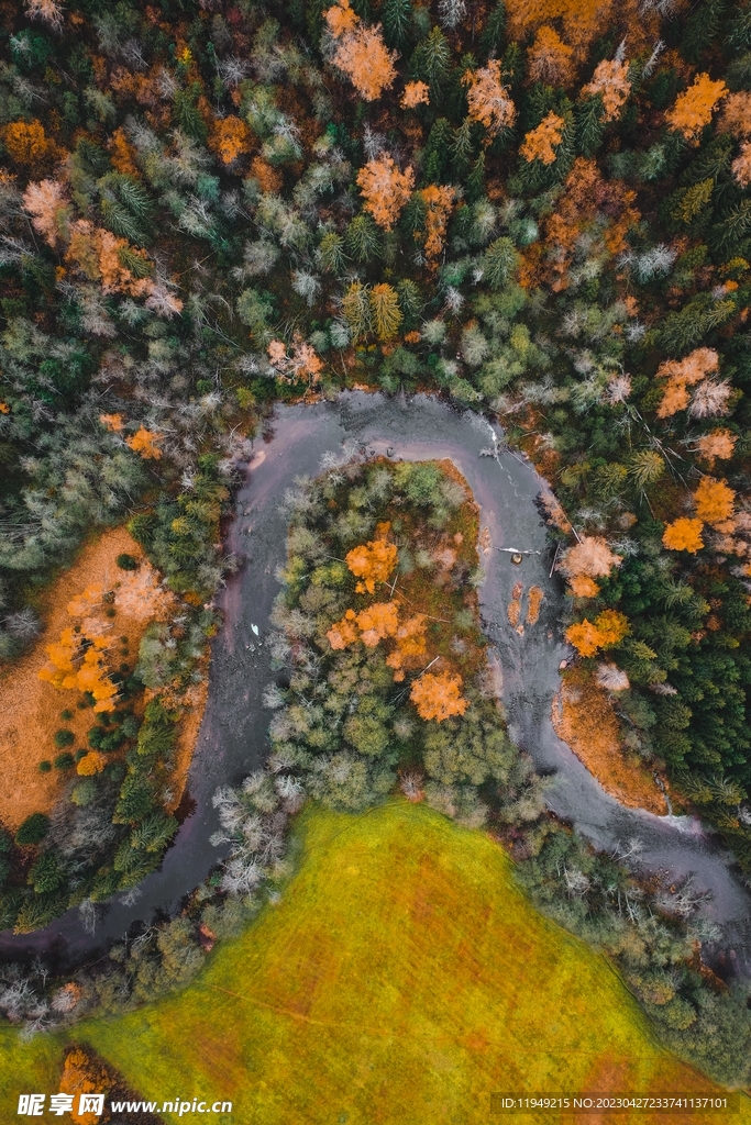 树林中的小路