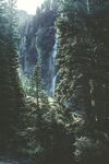 树林风景 
