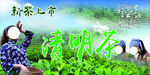 新茶上市