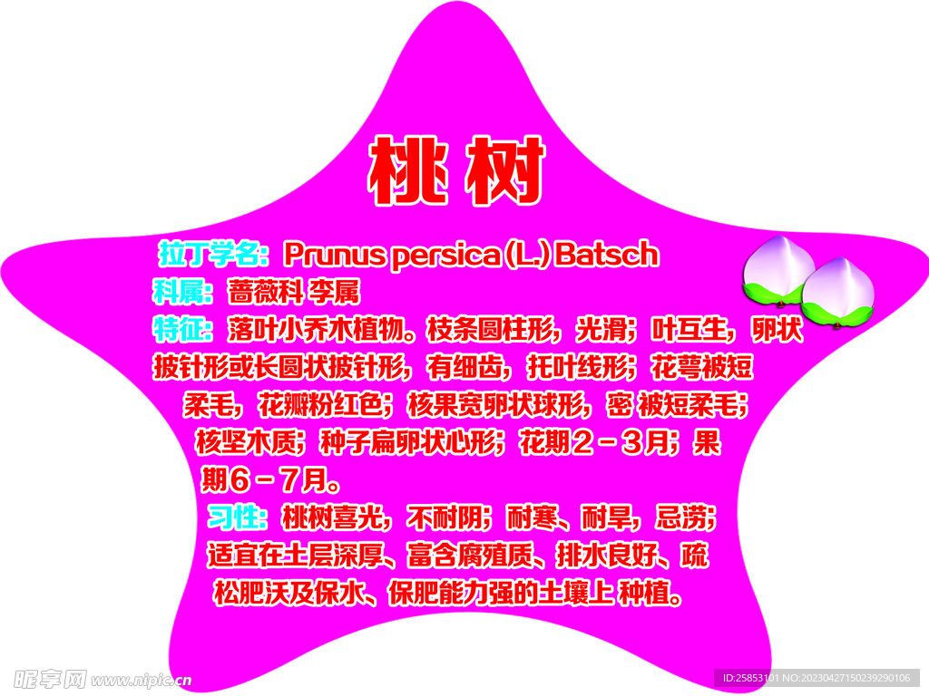 桃树树牌